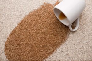 Abingdon Stain Proof Carpets