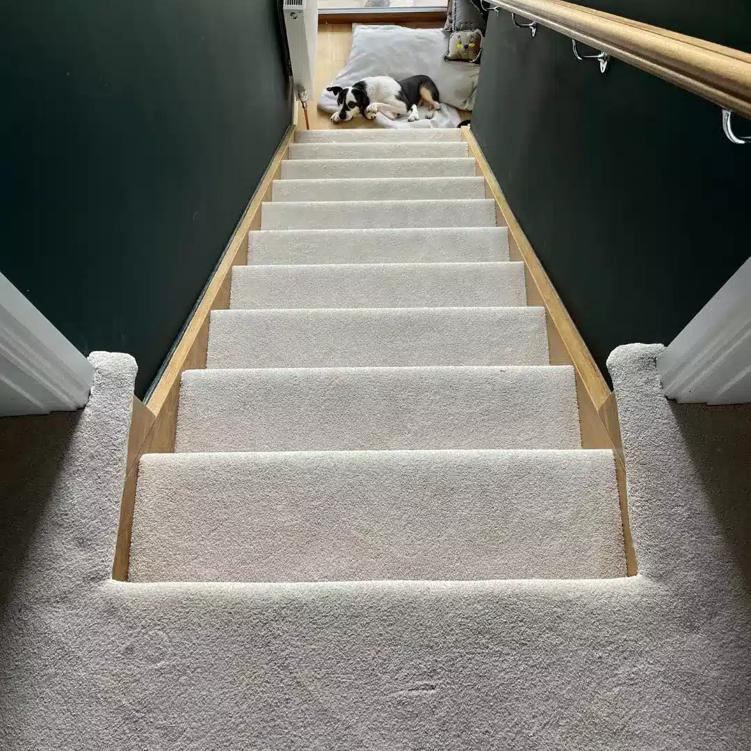 Stainfree Cream Carpet For Stairs