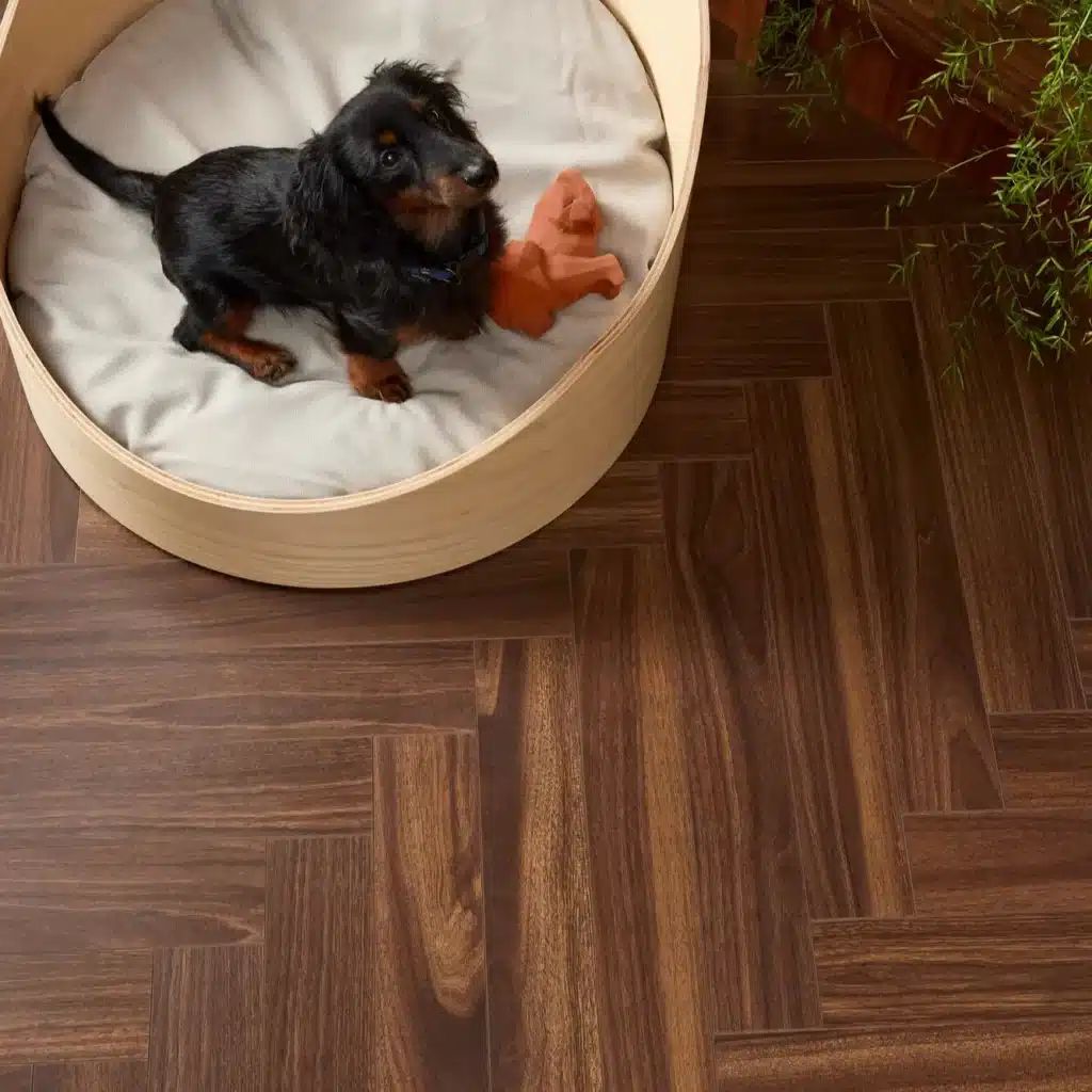 BerryAlloc Laminate Herringbone Floor With Dog