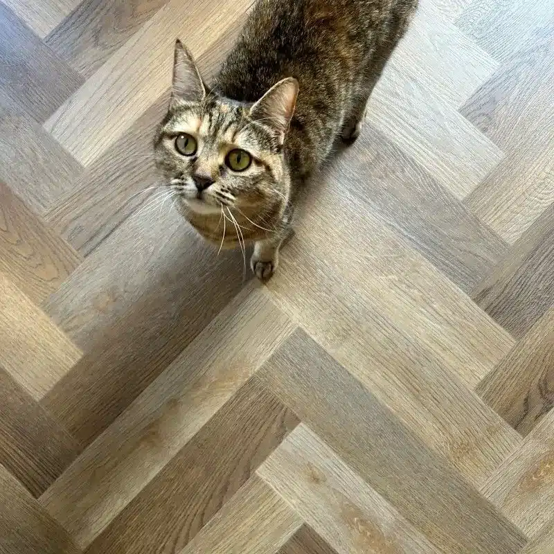 Harvey Maria Kiln Rye Parquet Wood with Cat